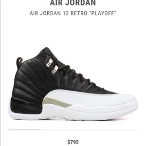 Air Jordan 12 retro playoff